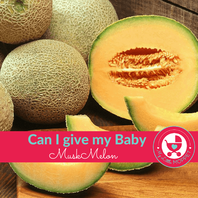 How to make Muskmelon Puree for Babies